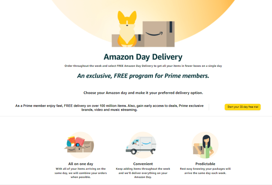Porch Pirate Prevention Tips: Best Way To Prevent Package Theft From Amazon