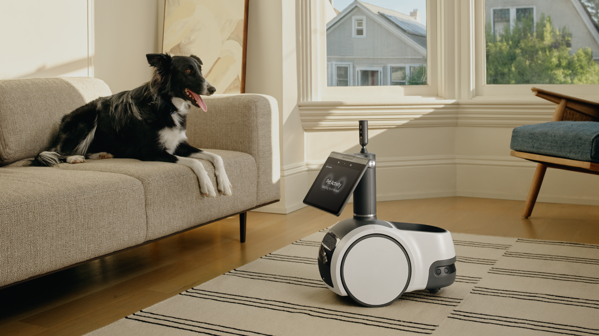 Amazon Astro detects a dog on couch