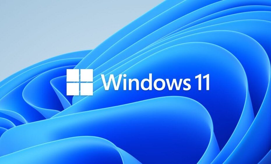 Windows 11 logo in front of the default wallpaper