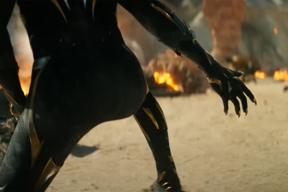 A screenshot of the new Black Panther with their back to the camera in Black Panther: Wakanda Forever